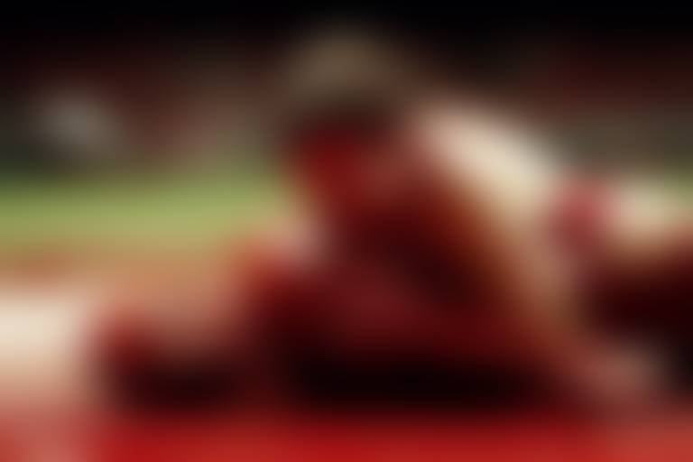 Unraveling the Morality of Blood Sports